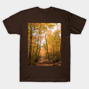 autumn colors T-Shirt